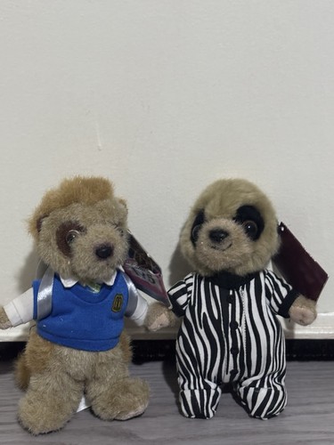 Compare the market meerkats - compare,