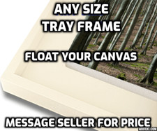 Any Size Tray Picture Frame - Floating Stretched Canvas or Raised Canvas Board