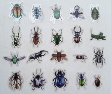 20x Insects/Bugs Plastic Clear