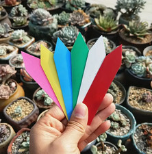 10x Colour Plastic Plant