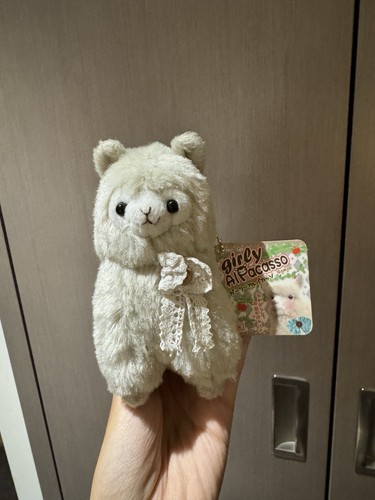Japanese amuse girly alpacasso