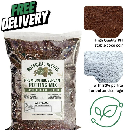 Multi purpose houseplant - multi,