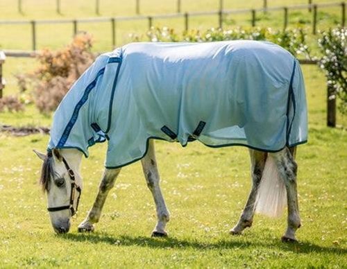 Horseware amigo bug - horseware,