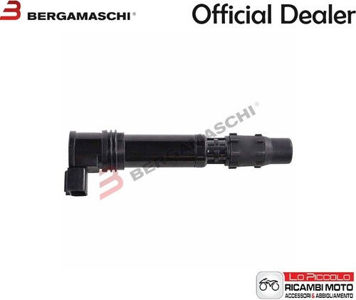 Coil spark plug - plug, rmstator