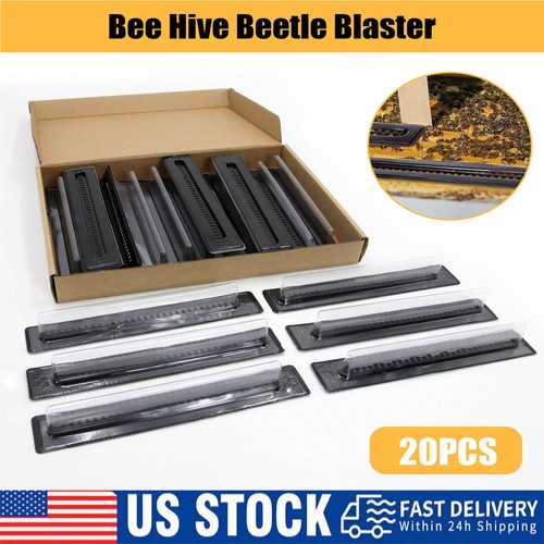 20x black bee hive beetle - 20x,