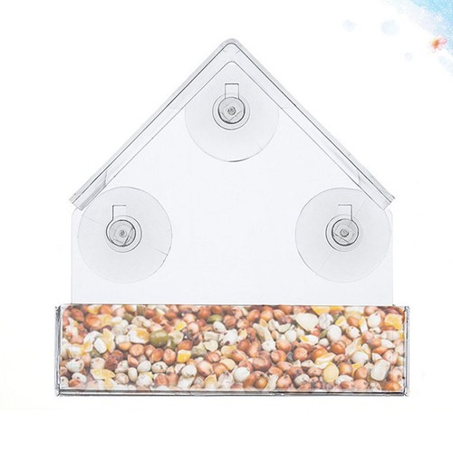 Acrylic bird cage - bird,