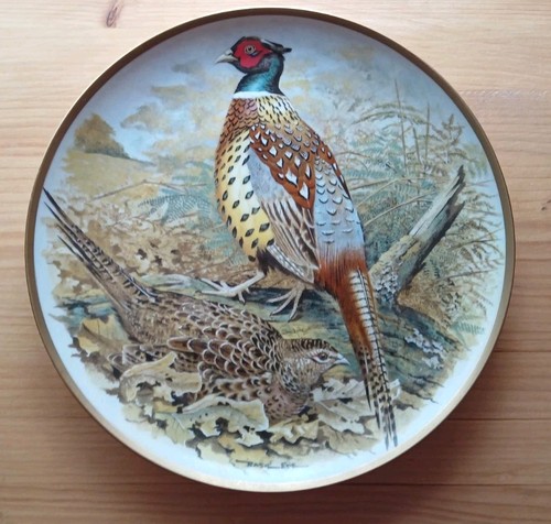 Chinese ring necked - , pheasant