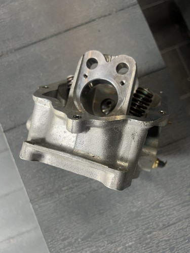 Genuine cylinder head - cylinder,