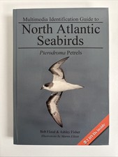 Multimedia Identification