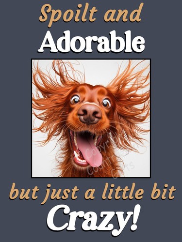 Red irish setter dog funny - irish,