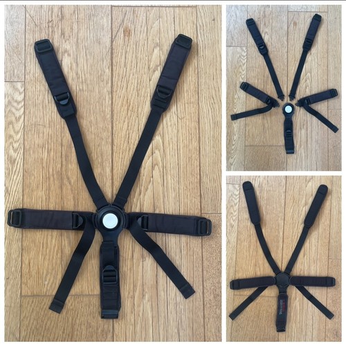 Five point harness safety