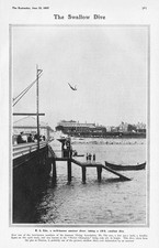 RL EDE Amateur Diver Making a Swallow Dive from Clacton Pier Antique Print 1907