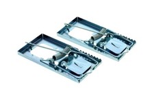 Traditional Mouse Traps Mice