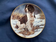 Danbury Mint The Springer Spaniel "Steadfast Gaze “ plate