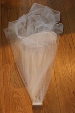 Brides veil