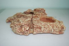 Vivarium Large Basking