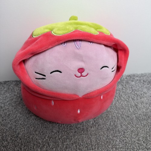 Squishmallows laura the cat - cat, in