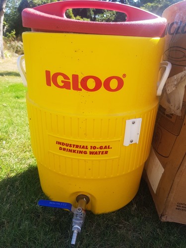 Igloo gal drink cooler beer - 10,