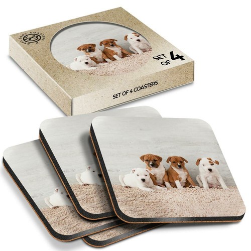 Boxed square coasters - x,