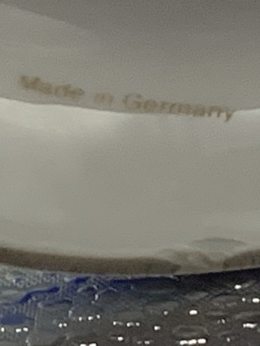 German beer stein celebrating - german,