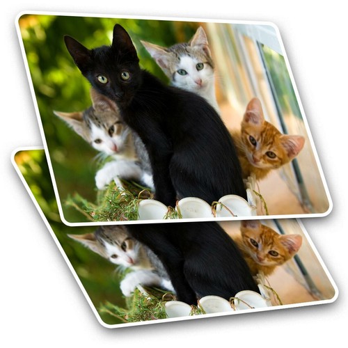Rectangle stickers 5 cm - x,