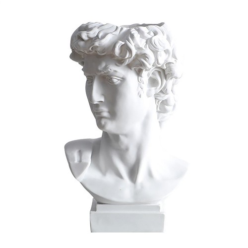 David statue flower - statue,