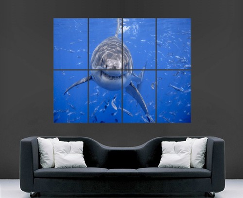 Great white shark poster - great, sea