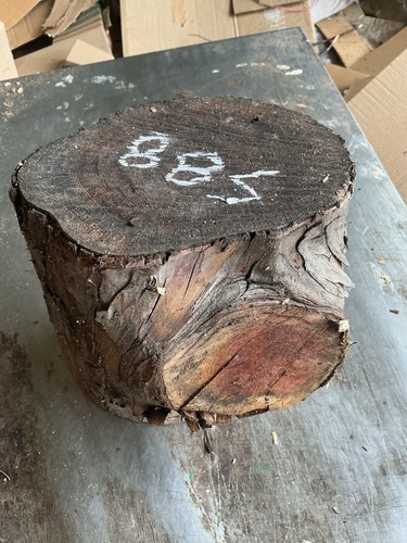 Yew wood length - wood,yew, length,yew,yew