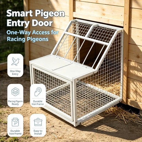 Pigeon loft door removable - pigeon,