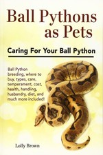 Ball Pythons as Pets: Ball