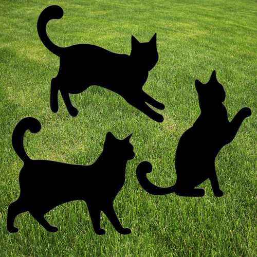 Black cat cats halloween - black,
