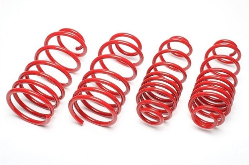Technix lowering springs - ta,
