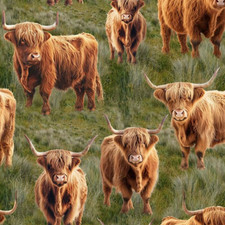 Nutex Homestead Bovines