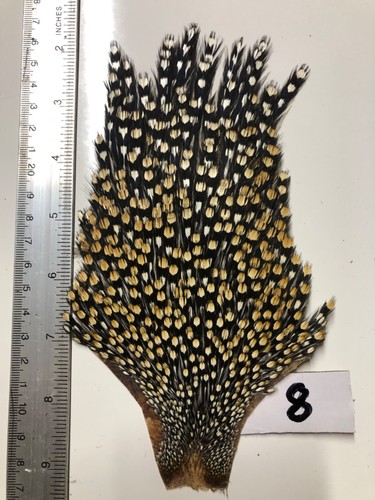 Jungle cock cape fly - cape, tying
