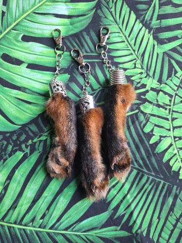 Small taxidermy fox - small,