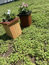 Wooden Planters - Set of 2