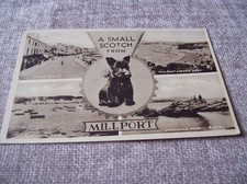 POSTCARD -- A SMALL SCOTCH FROM MILLPORT, ISLE OF CUMBRAE