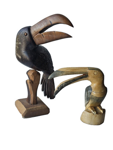 Hand carved toucan - hand,