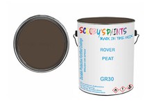 Classic Paint For Wolseley