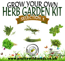 Grow Your Own Herb Garden Kit Selection 1 Perfect for Kids & Beginners
