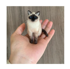 Siamese cat animal kitten - siamese,