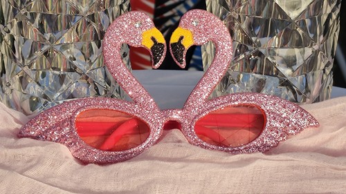 Flamingo sunglasses fancy - flamingo,