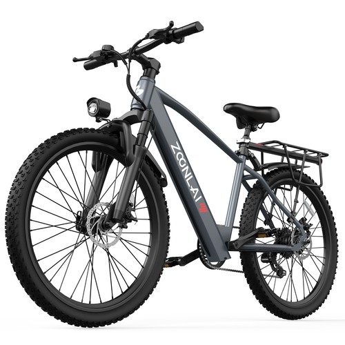 26in 250w speed electric - 7,