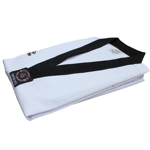 Yes master taekwondo - ,