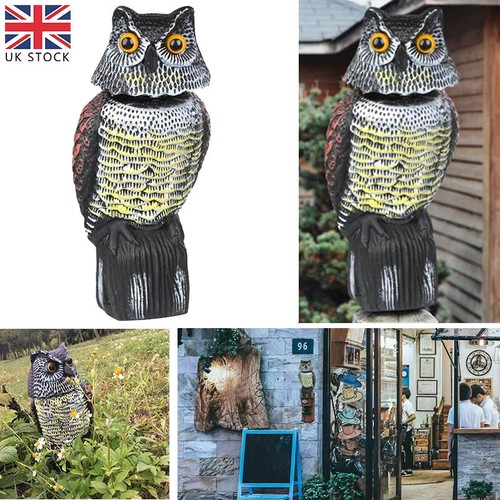 Owldecoy deterrent bird - deterrent,