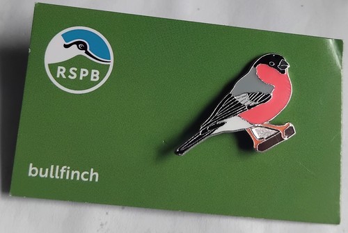 Rspb pin badge - badge, of