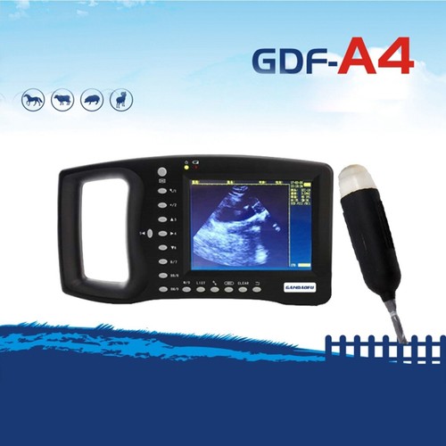 Portable veterinary ultrasound - portable,
