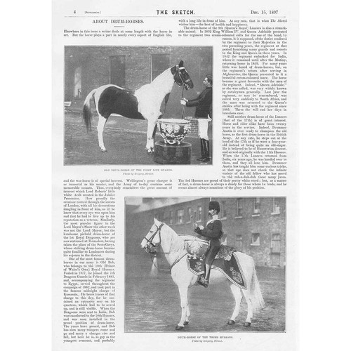 Military army drum horses 2x - military,