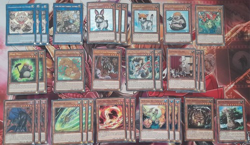 Yugioh beast mythical - yugioh, forest