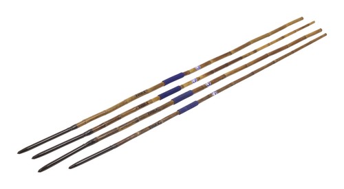 Training throwing javelin - throwing,